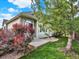 Backyard showing side of house, tree, red bushes, grass, and concrete step to backyard door at 11556 W Cooper Pl, Littleton, CO 80127