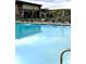 Sparkling blue swimming pool with ample seating and mountain views at 328 Simmental Loop, Castle Rock, CO 80104