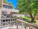 Backyard with a wood deck, grass, and mature trees at 3540 E 5Th Ave, Denver, CO 80206