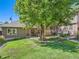 Spacious backyard features lush green grass and a mature tree, creating a serene outdoor retreat at 3540 E 5Th Ave, Denver, CO 80206
