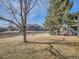 A spacious backyard featuring mature trees and a well-maintained lawn, perfect for outdoor activities and relaxation at 1057 Delta Dr # A, Lafayette, CO 80026