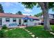 Charming backyard with patio, lush lawn, mature tree, and seating, perfect for outdoor entertaining at 225 N Ivanhoe St, Denver, CO 80220