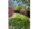 A large, lush green backyard framed by vibrant red shrubbery and a dark wood fence at 1354 Avgare Way, Erie, CO 80516