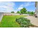 Lush backyard featuring healthy lawn, mature trees, and a privacy fence at 11285 Iola St, Commerce City, CO 80640