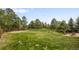Expansive backyard with lush green grass, mature trees, and a patio area perfect for relaxing at 1654 Muirfield Ln, Evergreen, CO 80439