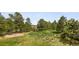 Lush backyard with mature trees and well-maintained lawn, creating a private and serene outdoor space at 1654 Muirfield Ln, Evergreen, CO 80439