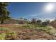 Large backyard perfect for gardening with fence line, shed and steps to a small deck at 201 S Monmouth Ave, Firestone, CO 80520