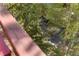 Relax to the sounds of nature with a charming creek view from your private balcony at 100 S Park Ave # E321, Breckenridge, CO 80424