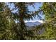 Spectacular mountain views framed by lush greenery at 100 S Park Ave # E321, Breckenridge, CO 80424