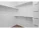 Walk-in closet with shelving and carpeted floor at 23420 E Berry Ave, Aurora, CO 80016