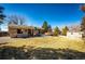 Spacious backyard with large lawn, shed, and mature trees at 11 Gordon Dr, Castle Rock, CO 80104