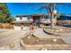 Inviting front exterior featuring a well-manicured yard, mature tree, and attached two-car garage at 11 Gordon Dr, Castle Rock, CO 80104