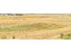 Scenic view of a development site with open fields, new construction, and pathways at 39417 Stockton Cir, Elizabeth, CO 80107