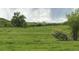 Expansive green backyard with lush trees at 2251 Cliffrose Ln, Louisville, CO 80027