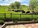 Cozy backyard view, offering an outdoor retreat with lush greenery and mature trees at 2251 Cliffrose Ln, Louisville, CO 80027