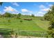 Serene view of a vibrant green pasture with grazing cattle and a distant windmill at 2251 Cliffrose Ln, Louisville, CO 80027