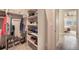 Walk-in closet with built-in shelves and rods for optimal storage at 2144 Coyote Mint Dr, Monument, CO 80132
