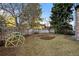 Backyard view with a geodesic dome and trees at 2090 S Gray Dr, Lakewood, CO 80227