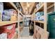 Basement storage room with shelving, lighting, and ample space for organization at 16671 E Prairie Goat Ave, Parker, CO 80134