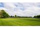 Lush green baseball field with a well-maintained fence and a backdrop of mature trees and cloudy skies at 7777 E 23Rd Ave # 1202, Denver, CO 80238