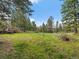 Expansive backyard featuring lush lawn and mature trees provides a private and serene outdoor space at 7754 Swaps Trl, Evergreen, CO 80439