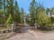 Scenic driveway lined with tall trees, leading to a beautiful property at 7754 Swaps Trl, Evergreen, CO 80439