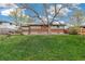 Expansive backyard featuring lush grass and mature shade trees at 1772 S Pierce St, Lakewood, CO 80232