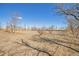 Expansive yard with sparse vegetation and mature trees at 2372 Haskell Way, Watkins, CO 80137