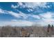 Stunning aerial view showcasing distant city skyline and treetops at 460 E Fremont Pl # 301, Littleton, CO 80122