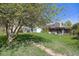 Spacious backyard featuring mature trees and a storage shed at 306 E Cannon St, Lafayette, CO 80026