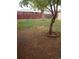 Backyard view with lawn, mature trees and a privacy fence, perfect for outdoor entertaining and relaxation at 5640 E 67Th Pl, Commerce City, CO 80022