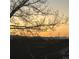 Scenic sunset view with silhouetted branches and distant mountain silhouettes against a colorful sky at 8975 S Coyote St, Highlands Ranch, CO 80126