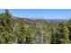 Scenic view from the property showing trees, mountains, and the sky at 10508 Christopher Dr, Conifer, CO 80433