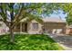 Charming single-Gathering home with brick exterior, lush lawn, and mature tree providing shade at 3563 Watada Dr, Brighton, CO 80601