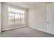 Bright bedroom featuring a large window and neutral carpet, offering a cozy and inviting space at 483 Basin Daisy St, Castle Rock, CO 80104