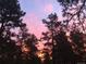 Stunning sunset through tall trees with pink and orange hues, serene and peaceful at 5030 Cedar Way, Elizabeth, CO 80107
