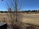 A view of the community's large open backyard area at 7777 S Biloxi Way, Aurora, CO 80016