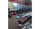 Community gym with many exercise machines at 4572 Copeland Loop # 203, Highlands Ranch, CO 80126