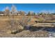 Peaceful creek view with natural landscape at 9485 W 81St Ave # B, Arvada, CO 80005