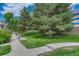 Well-manicured lawn features mature trees, landscaped beds, and sidewalk at 8943 Tappy Toorie Cir, Highlands Ranch, CO 80129