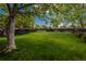 Expansive backyard featuring a lush lawn, mature tree, and a charming swing, perfect for outdoor enjoyment at 9150 W 94Th Ave, Westminster, CO 80021