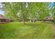 Spacious backyard featuring a large mature tree and shed, offering ample space for outdoor activities and gardening at 8269 Zephyr St, Arvada, CO 80005