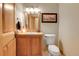Bathroom featuring wood cabinets, a framed mirror, and framed mountain artwork at 1007 Nob Hill Rd, Evergreen, CO 80439