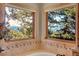 Bathroom featuring a soaking tub beneath two windows showcasing mountain views at 1007 Nob Hill Rd, Evergreen, CO 80439