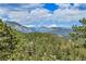 Expansive mountain view from a property surrounded by lush green forests and a blue sky at 1007 Nob Hill Rd, Evergreen, CO 80439