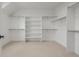 Spacious walk-in closet with adjustable shelving and ample storage space at 1846 Chestnut Ave, Erie, CO 80516