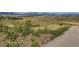 Scenic landscape view of fields, mountains, and walking path, enhanced with vibrant sunflowers at 3265 W 11Th Avenue Ct, Broomfield, CO 80020
