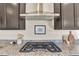 Close-up of a kitchen cooktop with stainless steel vent hood, granite countertops, and dark cabinets at 9002 Birch Run Dr, Parker, CO 80134