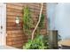 Close-up of the indoor courtyard with lush greenery and a wooden accent wall at 6305 W 6Th Ave # C12, Lakewood, CO 80214