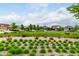 Street view of homes in a well maintained neighborhood with green spaces and landscaping at 7991 Heritage Dr, Thornton, CO 80602